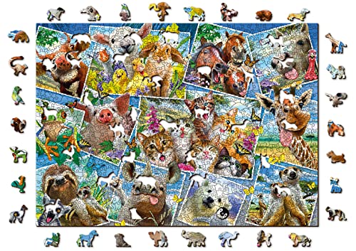 Wooden.City Holzpuzzle 1000 +10 Teile - Animal Postcards - Erwachsene Kinder Tierpuzzle - Puzzle Bunt Einzigartige Tierform - Haus Dekoration - Geschenk Lernspielzeug - Tolles Spielzeug 51,9 x 37,5 cm von WOODEN.CITY