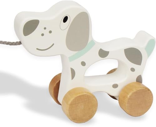 Babyspielzeug Auto, hölzerne ziehen entlang Kleinkind Spielzeug, Entwicklungsspielzeug für 1 Jahr alt Mädchen Junge Geburtstag Geschenk von WOODENFUN