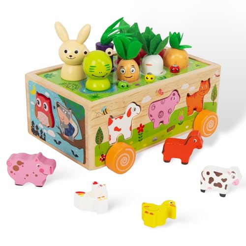 WOODENFUN Holz Montessori Spielzeug Sortierspiel Holzpuzzle Karotten Steckspiel Tiere Lernspielzeug Motorikspielzeug Geschenk Stapelspielzeug 3 Jahre+ von WOODENFUN