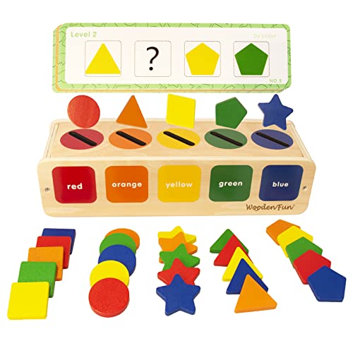 WOODENFUN Montessori Spielzeug Farbsortierung & Stapeln Passende Lernsortierspielzeug für Kleinkinder von 1-3 Jahren, Lernspielzeug als Geschenk für 2 jährige Jungen und Mädchen von WOODENFUN