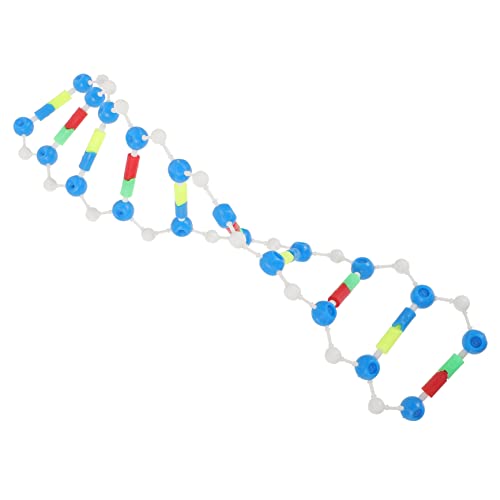 WOONEKY 3 Stück DNA Doppelhelix Modellkomponenten Menschliche DNA Lern Molekularmodell Kit Lehrinstrument Modell Klassenzimmer Unterricht DNA Montagemodell Biologie DNA Modell von WOONEKY