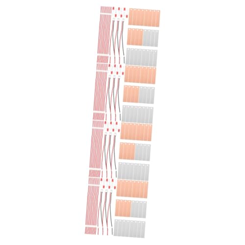 WOONEKY 4 Sätze Fruchtbatterie-Experiment Experimentelle DIY-obstbatterie Orangefarbenes Spielzeug Physik-schaltkreisspielzeug Anodenplatte Aus Zink Elektroden-experimentierset Zink-Kupfer von WOONEKY