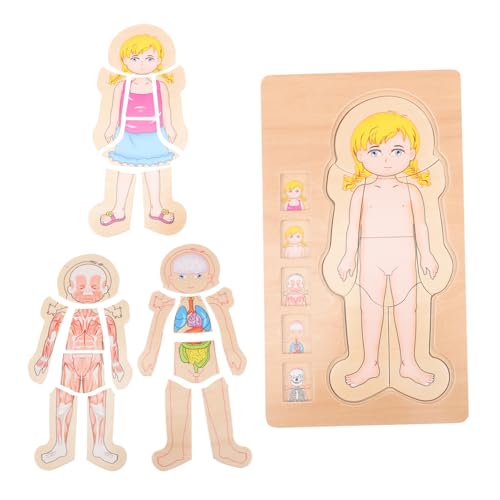 WOONEKY Mehrschichtiges Holzpuzzle Körperbau Lernspielzeug für Kreativitätsfördernd Sicher und Pädagogisch Geeignet für Jungen Mädchen Ab Jahren WOONEKY Mehrschichtiges Holzpuzzle Körperbau Lernspielzeug für Kreativitätsfördernd Sicher und Pädagogisch Geeignet für Jungen Mädchen Ab Jahren von WOONEKY