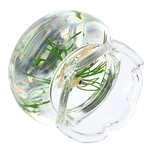 WOONEKY Miniatur Fischschale Miniatur Goldfisch Aquarium Dekoration für Puppenhaus DIY Basteln Lebensecht Gelb Kleine Fischbehälter Zubehör WOONEKY Miniatur Fischschale Miniatur Goldfisch Aquarium Dekoration für Puppenhaus DIY Basteln Lebensecht Gelb Kleine Fischbehälter Zubehör von WOONEKY