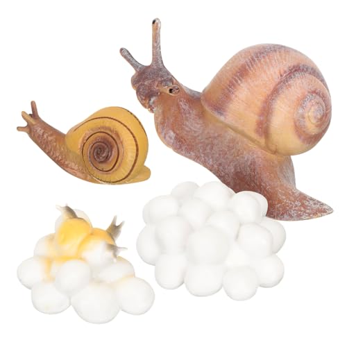 WOONEKY Realistische Tierwachstumszyklus Modelle Pädagogisches Lernspielzeug für Montessori Frühe Bildung Schnecken Küken Lebenszyklus Figuren Interaktives Forschen WOONEKY Realistische Tierwachstumszyklus Modelle Pädagogisches Lernspielzeug für Montessori Frühe Bildung Schnecken Küken Lebenszyklus Figuren Interaktives Forschen von WOONEKY