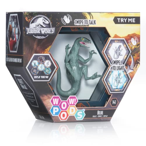 WOW! PODS Jurassic World Camp Cretaceous SFX Velociraptor Blue |Jurassic World Dinosaurier Leuchtende Wackelfigur mit Sound | Fanartikel für das Gefallene Königreich Jurassic World Spielzeug, Ab 5 von WOW! PODS