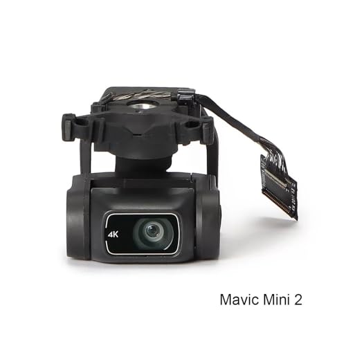 WQYZSF Gimbal Kamera for D-JI Mavic Mini1 Mini2 Air2 Air2S Zubehör Reparatur Teile(Mavic mini2) von WQYZSF