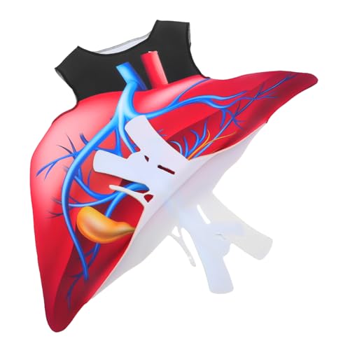 WRITWAA Realistisches Herz Kostüm für Weiches Schwamm-material Leicht und Angenehm Pädagogisches Halloween Outfit für Party Bühnenauftritt und Rollenspiel WRITWAA Realistisches Herz Kostüm für Weiches Schwamm-material Leicht und Angenehm Pädagogisches Halloween Outfit für Party Bühnenauftritt und Rollenspiel von WRITWAA