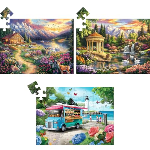 3 Pack 48 große Teile Puzzle für Senioren Alzheimer Puzzles Demenz Alzheimer Produkte Aktivitäten für ältere Erwachsene Berge Dorf Meer Einfaches Puzzle kognitive Spiele mit 3 Aufbewahrungstaschen von WSCXSC