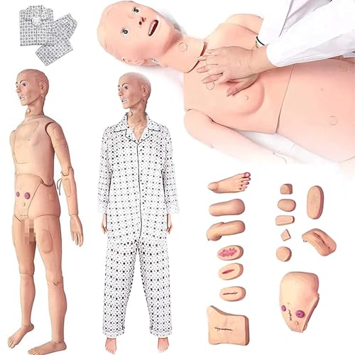 Schulung für multifunktionale Patientenpflegepuppen 5,57 Fuß lebensgroßes menschliches anatomisches Modell CPR-Simulator Krankenpflege-Trainingspuppe für die medizinische Lehrausbildung von WUJITAIJI
