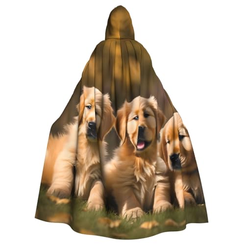 WURTON Goldener Retriever-Umhang für Hunde, Welpen, Haustiere, bedruckt, Hexe, Cosplay, Karneval, Kapuzenumhang für Erwachsene, geeignet für Partys von WURTON