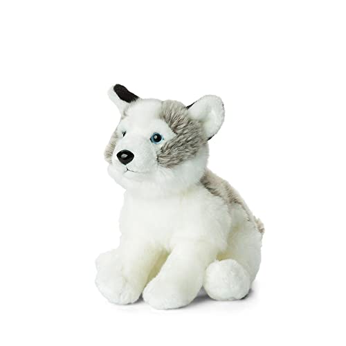 WWF Plüsch WWF12694 WWF Plüschkolletion World Wildlife Fund Husky Plüschtier, Mehrfarbig, 23 cm von WWF