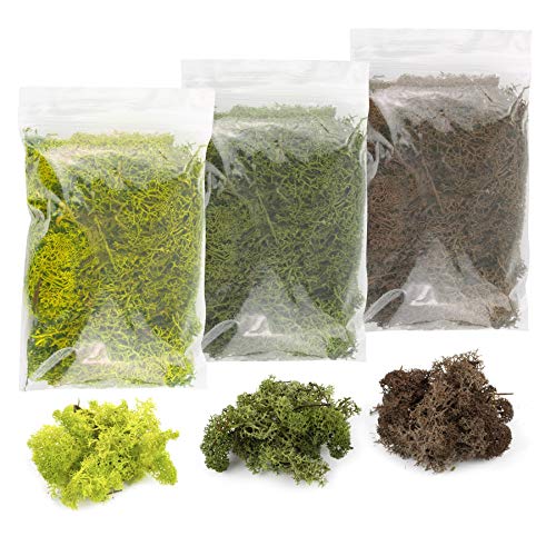 War World Scenics Lichen Flechte Modell Moos Laub Multipacks 3 x 20g (Hellgrün, Dunkelgrün, Braun) - Railway Wargame Tabletop Gelände Landschaft Baum Busch Hecke Diorama Basing von WWS War World Scenics