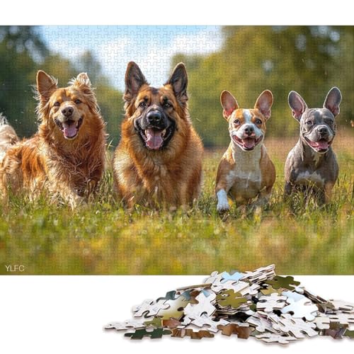 1000-teiliges Puzzle für Kinder, künstlerisches süßes Hunde-Puzzle, quadratisches Puzzle für Kinder und Holzpuzzle, Lernspiel, Herausforderungsspielzeug, 1000 Teile (75 x 50 cm) von WXMMoney