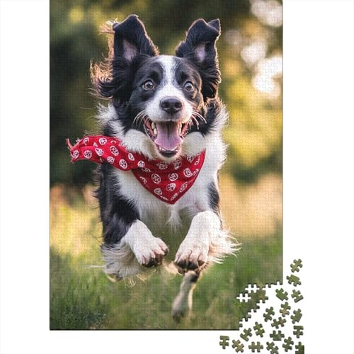 Holzpuzzle für Erwachsene 1000 Teile Border Collie Puzzle Freizeit Kreative Spiele Spielzeug Puzzles 1000 Teile (75x50cm) von WXMMoney