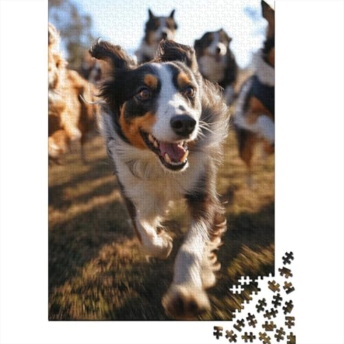 Puzzle 300 Teile für Kinder | Border Collie Puzzle | 300-teiliges Puzzle, Holzpuzzle, Lernspiele, 300 Teile (40 x 28 cm) von WXMMoney