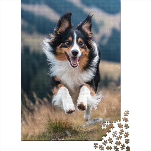 Puzzle für Kinder, 300-teiliges Shetland Sheepdog-Holzpuzzle, schwierige Puzzles, Lernspielzeug, Geschenk, Puzzlespiele, 300 Teile (40 x 28 cm) von WXMMoney