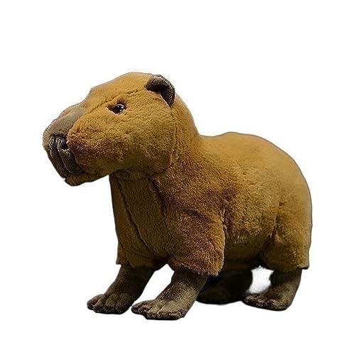 WYRMB Simulation Capybara Plüschtier Puppe Niedliche Weiche Capybara Puppe Geschenk von WYRMB