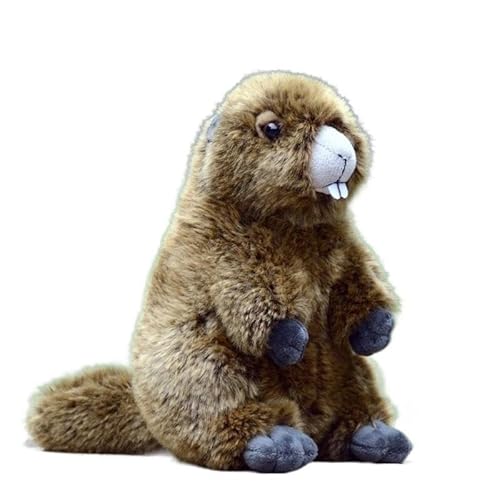 WYRMB Simulation Cute Groundhog Plush Doll Murmeltier Doll Large Tooth Mouse Doll Soft and Cute 's Birthday Gift von WYRMB