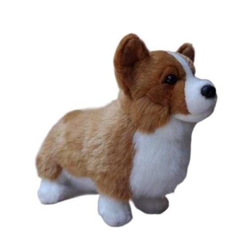 WYRMB Simulation Super Cute Dog Plush Toy Corgi Plush Doll Soft and Cute Short-Legged Doll Gift von WYRMB