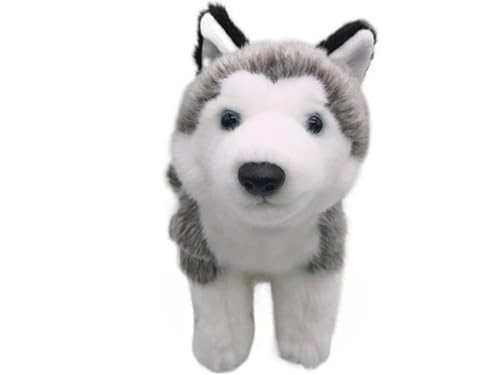 WYRMB Simulation Super Cute Husky Plush Toy Animal Puppy Plush Doll Soft and Cute Early Education 's Gift Home Decoration (Grau), Grau von WYRMB