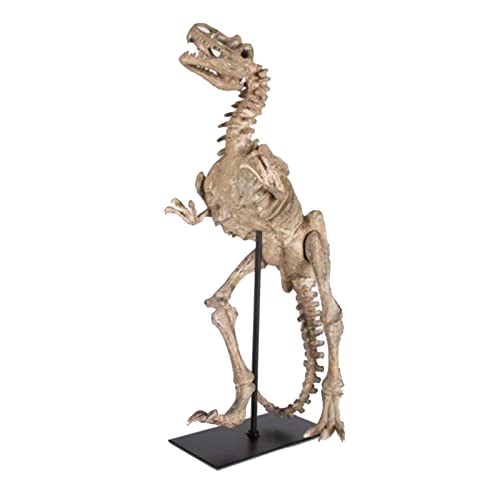 WYRMB Tyrannosaurus Rex-Skelettmodell – Dinosaurier-Harz-Nachbildungsmodell – handgefertigte Dinosaurier-Harzstatue für archäologische Tierforschung von WYRMB