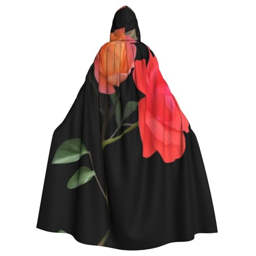 WZYWHJ Zweifarbiger Poncho mit Mondblumenmuster, Aldult Qualität, Cosplay-Poncho mit Kapuze, Umhang für Damen und Herren, Halloween von WZYWHJ