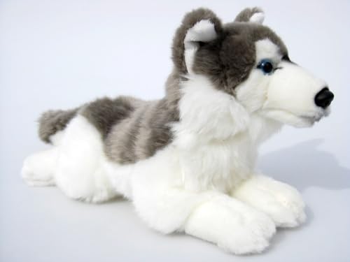 Plüschtier Hund Husky - liegend - 30 cm - lebensecht Stofftier Kuscheltier Plüschhund Stoffhund von Wagner·Stofftiere