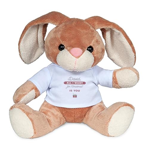 Wanapix | Hase Kuscheltier Personalisierte mit Foto und Text | Plüschtier Valentinstag | Stofftier | Originelles Geschenk | 14x19 cm | All I Want von Wanapix