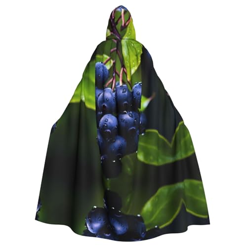 Plump Blueberries Kapuzenumhang für Erwachsene für Damen und Herren, Halloween-Kostüm, Maskerade, Cosplay, Kostüm, Weihnachten, Party, Robe von WapNo
