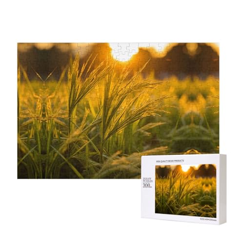 The Sunset Wheat Puzzles For Adult 300 Pieces Wooden Jigsaw For Family Friend Home Decor Wall Art 15.7 X 11 Inch von WapNo