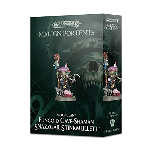 Games Workshop Fungoid Cave-Schaman Snazzgar Stinkmullett Warhammer Age of Sigmar Goblin GW von Warhammer Age of Sigmar