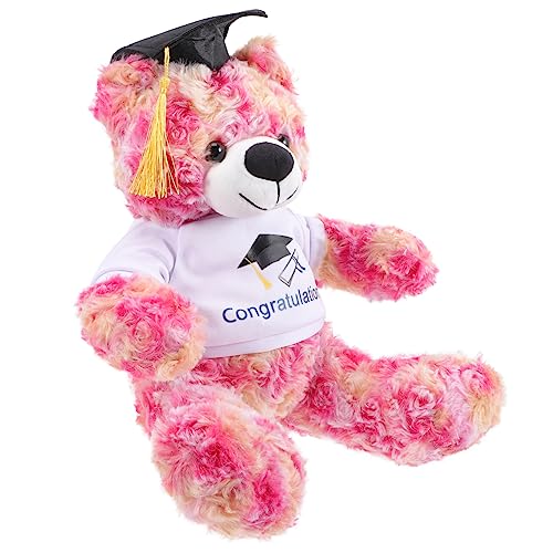 Warmhm Graduierung Plüsch Bärenpuppe bequemes Stofftier Bärenpuppen-Souvenir doktor bär ausgestopfte Puppe Kinderspielzeug entzückendes Kuscheltier Abschluss Stofftier PP Baumwolle von Warmhm