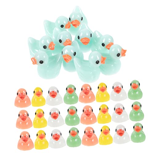 Warmhm Mini Enten Figuren Aus Harz Bunte Deko Miniaturen Für Mikrolandschaften Garten Und Bastelprojekte Entendekor Und Je von Warmhm