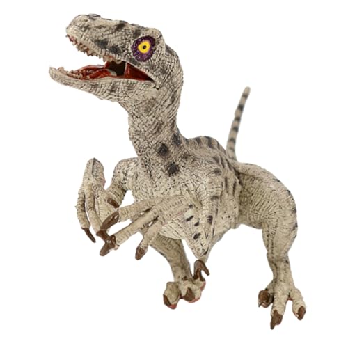 Warmhm Simulation Velociraptor Kognitives Dinosauriermodell Modell Der Frühen Bildung Dinosaurier- Aus Kunststoff Dinosaurier-Form-Ornament Heimdekoration Kinderspielzeug Plastik von Warmhm