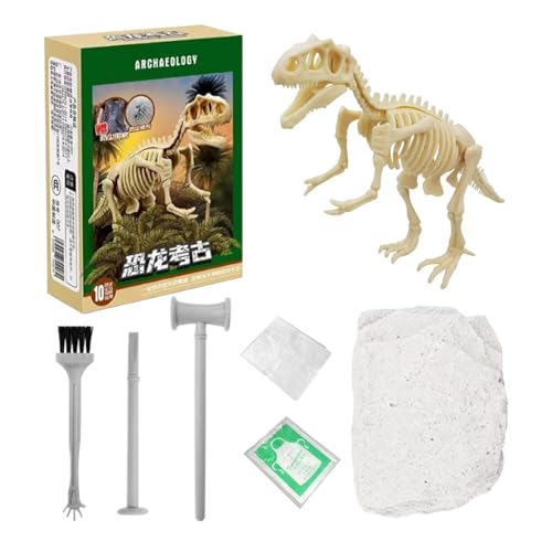 Dino-Grabset | Dinosaurier-Fossilien-Ausgrabungsspielzeug | Zusammenbaubare -Skelett-Puzzlemodelle | Präsentationsfertiges Dino-Fossilien-Set | Vielseitiges Grabspielzeug für Junge Paläontologen und von Wcybym