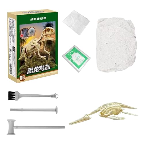 Dino-Grabset | Dinosaurier-Fossilien-Ausgrabungsspielzeug | Zusammenbaubare -Skelett-Puzzlemodelle | Präsentationsfertiges Dino-Fossilien-Set | Vielseitiges Grabspielzeug für Junge Paläontologen und von Wcybym