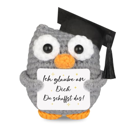 WenmthG Gestrickte Eule Positive Geschenke, Pocket Hug Eule Positive Kartoffel Ersatz, Mutmacher Geschenk, Gute Besserung Geschenk, Glücksbringer Prüfung Geschenk - Eule Puppe 1 St von WenmthG