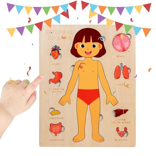 Weqizuerqi Kinder Anatomie Spielzeug - Pädagogisches Holz Puzzle Vom Menschlichen Körper,Frühpädagogisches Lernspielzeug Für Kinder Und Jugendliche Mädchen Weqizuerqi Kinder Anatomie Spielzeug - Pädagogisches Holz Puzzle Vom Menschlichen Körper,Frühpädagogisches Lernspielzeug Für Kinder Und Jugendliche Mädchen von Weqizuerqi