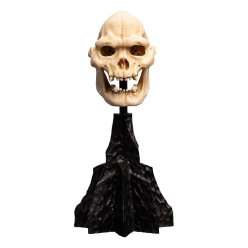 Weta Herr der Ringe Mini Statue Skull of Lurtz 14 cm von Weta Collectibles