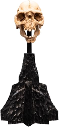 Weta Workshop - Herr der Ringe Mini Statue Skull of a Moria Orc 13 cm von Weta Collectibles