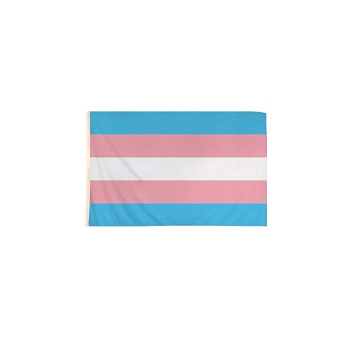 WickedFun® Deluxe Gay Pride Kostüm-Accessoire, Regenbogenhüte, Schmuck, LGBT-Parade, Party, Lot UK (Transgender-Flagge, 152 x 91 cm) von WickedFun