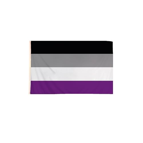 WickedFun® Deluxe Gay Pride Kostümzubehör, Regenbogenhüte Schmuck, LGBT-Parade, Party, Lot UK (Asexuelle Flagge, 1,5 x 0,9 m) von WickedFun