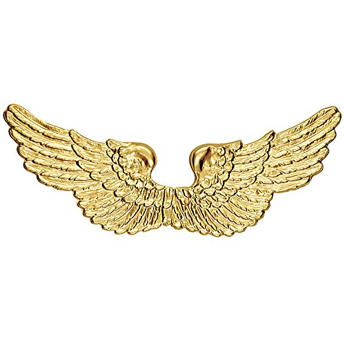 Widmann 2037P - Engelsflügel, gold, für Kinder, aus Kunststoff, Unisex, Engel, Krippenspiel, Weihnachten, Kostüm, Fasching, Karneval, Mottoparty Widmann 2037P - Engelsflügel, gold, für Kinder, aus Kunststoff, Unisex, Engel, Krippenspiel, Weihnachten, Kostüm, Fasching, Karneval, Mottoparty von WIDMANN MILANO PARTY FASHION