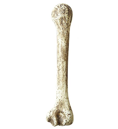 Widmann 2295T, Knochen prehistorisch ca. 39,0 cm lang, Zubehör für Halloween, Karneval oder Fasching Widmann 2295T, Knochen prehistorisch ca. 39,0 cm lang, Zubehör für Halloween, Karneval oder Fasching von Widmann