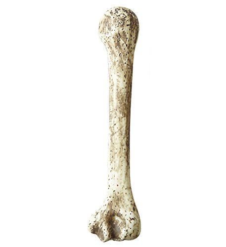 Widmann 2295T, Knochen prehistorisch ca. 39,0 cm lang, Zubehör für Halloween, Karneval oder Fasching von Widmann