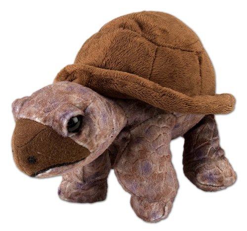 Wild Republic 10894 - Plüsch-Schildkröte Cuddlekins Mini, 20 cm von WILD REPUBLIC