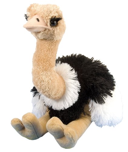 Wild Republic Cuddlekins Strauß, Stofftier, Baby-Geschenk für Mädchen und Jungen, Kinder Plüschtier, Kuscheltier Für Babys, Spielzeug aus Recyclingmaterial, 30 cm von WILD REPUBLIC