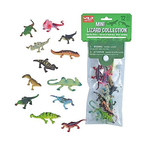 Wild Republic Polybag Mini Eidechse, zwölf Tierarten Aus Dem Eidechse, Geschenktüte für Kinder, Spielfiguren-Tiere, Toll für die Spielzeug-Sammlung von WILD REPUBLIC