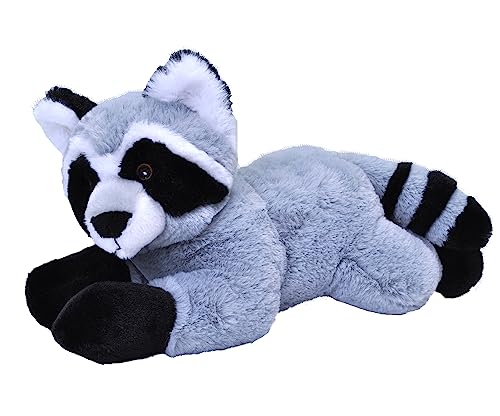 Wild Republic Ecokins Waschbär, Kuscheltier aus Stoff, Nachhaltiges Spielzeug, Baby Geschenk zur Geburt von Jungen und Mädchen, Stofftier 30 cm von WILD REPUBLIC